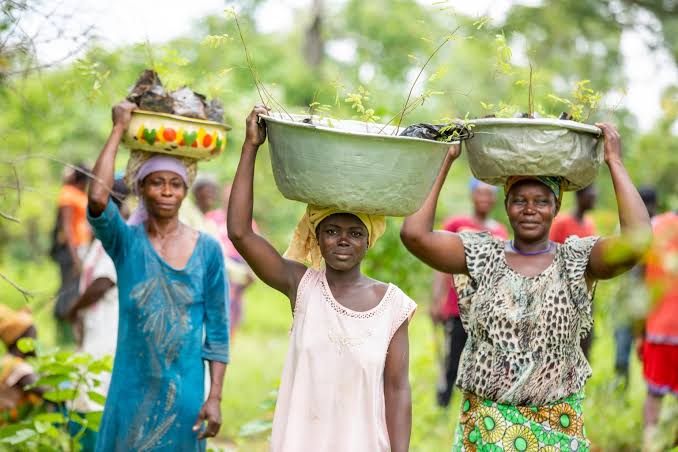 Sunkpa Shea Women: from rural Ghana to New York - A Rocha ...