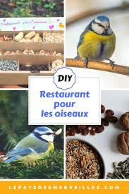 Du ciel/mangeoires & silos à graines /marques/vadigran dim : Restaurant Pour Les Oiseaux