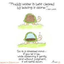 Yogi Turtle Turtle Quotes Inspirational Words Of Wisdom Uplifting Quotes
