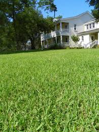 Landscaping Over Septic Drain Fields Home Garden Information Center