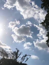 Foto capung kecil yang hinggap di bunga. Awan Yang Cantik 3024x4032 Wallpaper Teahub Io