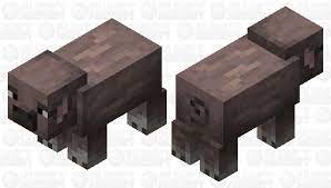 Education images / uig / getty images guinea pigs (cavia porcellus) are small rodents raised in the south am. Motteld Pig Minecraft Earth Minecraft Mob Skin