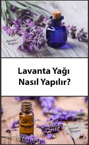 Lavanta Yagi Nasil Yapilir Lavanta Sifali Otlar Dogal Cilt Bakimi