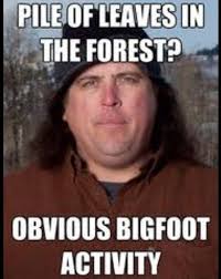 Finding Bigfoot Cause That Doesn T Look Natural Obviously Finding Bigfoot Bigfoot Pictures Bigfoot