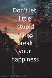 Dont Let Stupid Things Break Your Happiness Great Inspirational Quotes Motivational Words Inspirational Words