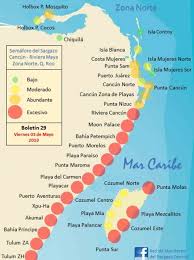 A mi llegada el 18 casi nada de sargazo. Alerta Mar De Sargazo Cubrira La Costa De Quintana Roo