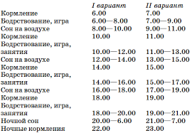 Rezhim Dnya Rebenka V 6 Mesyacev