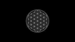 See more ideas about flower phone wallpaper, flower wallpaper, beautiful wallpapers. Flower Of Life Wallpapers Wallpaper Cave