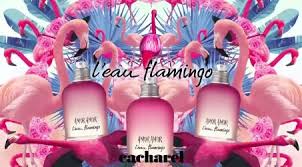 Cacharel Amor Amor L Eau Flamingo Eau De Toilette Cacharel Amor Amor L Eau Flamingo Fragrance New Fragrances Flamingo