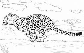 Cheetah Run Catch His Prey Coloring Page Zoo Animal Coloring Pages Animal Coloring Pages Puppy Coloring Pages
