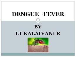 The mosquito is a small, dark mosquito of approximately 4 to 7 millimeters with typical white markings on the legs and a marking of the form of a. Dengue Fever Ppt