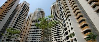 Gsm solutions truly portable & forensic tools. 99 Co Guides Hdb Options For Singles In Singapore 99 Co