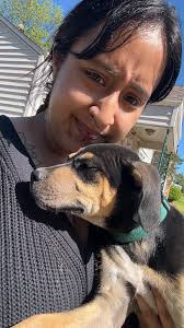 found puppy in ponca area near highland