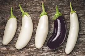 Browse all italian eggplant recipes. Tcblytqs Exzom