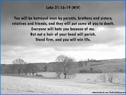 The family is the divine foundation for human life. 45 Quotes Ideas Quotes Friendship Bible Quotes Betrayal Quotes