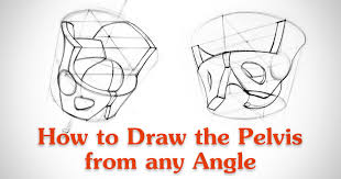 How To Draw The Pelvis From Any Angle Proko This is the male pelvis as seen on sagittal section. how to draw the pelvis from any angle