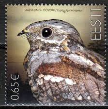 Da der vogel sich aufgrund der beinfraktur „schonen musste, brauchte dieser nur eine kleine künstliche. Vogel Des Jahres 2019 Ziegenmelker Europa Estland 2019 Briefmarken Blocks 1 Vogel Tiere 969 Nl01 0319 Briefmarkenwelt Geier