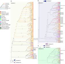 Mening ngacapruk tibatan adat adatan teu pararuguh mah. Genome Wide Identification And Characterization Of Small Auxin Up Rna Saur Gene Family In Plants Evolution And Expression Profiles During Normal Growth And Stress Response Bmc Plant Biology Full Text
