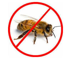 Tips to avoid getting stung by bees and wasps. Best Bee Removal In Melbourne Select Pest Control