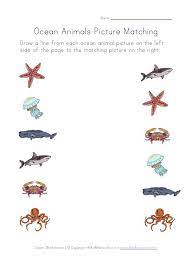 Ocean Animals Worksheets For Kids Ocean Animals Preschool Ocean Animals Pictures Ocean Theme Preschool