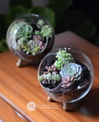 How To Make A Glass Globe Terrarium Diy Succulent Dish Garden Michaelsmakers Bystephanielynn Succulent Terrarium Succulents Diy Succulents