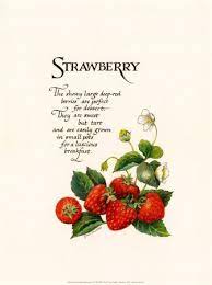 Live in each season as it passes: Strawberry Quote Definition Strawberry Art Strawberry Strawberry Kitchen