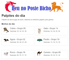 palpites do dia do jogo do bicho de hoje 21 08 2020 deu no poste palpite do dia jogo de bicho jogo do bixo