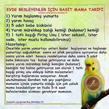 muhabbet kusu basit mama tarifi panosundaki pin