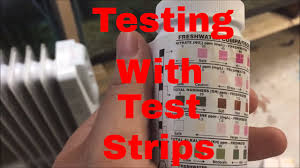 how to use test strips to check your water quality ammonia test nitrite test nitrate test