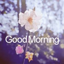 Are you looking for good morning funny images and quotes? Good Morning Flowers Line Stickers Line Store