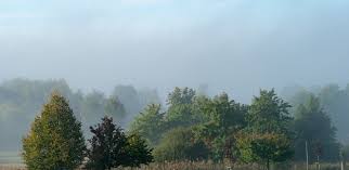 Im verbundgeschäft arbeitet sie mit der dz bank ag, r+v. Dr Martin Polle Vorsitzender Des Vorstandes Vr Bank Uckermark Randow Eg Xing