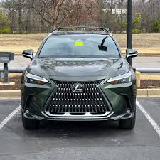 Image result for Nori Green 2024 LC