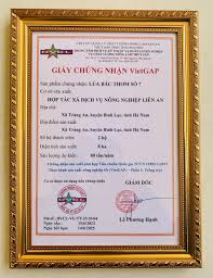 Trao giấy chứng nhận đạt chuẩn VietGAP sản phẩm lúa của hợp tác xã Liên An,