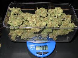 How much does a quarter weigh? Marijuana Weight Grams Quarters And Ounces Explained