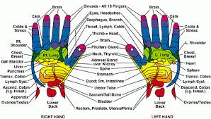 foot hand reflexology herb shop healing center