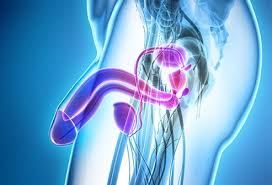 It is so because the symptoms of the cancer are it can be ailments in the form of urinary disorders, constipation, flatulence, feeling of heaviness or abdominal pain, pain in the groin. Early Signs And Symptoms Of Penile Cancer