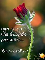 Immagini Buongiorno Con Affetto Archivi Pagina 54 Di 54 Magicobuongiorno It