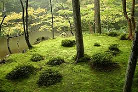 The carved bench is available in red, beige, pink, brown, mint, white, gray, sandstone and white, pink, green and. Japanese Garden Wikipedia