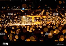 Image result for Medium Brown 2021 Fleet