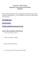 You'll find two amounts of answers on the problem of why persons travel. 5y1 Org 0eab3c43364d5cbd1a2ed6e3bf56ccfa Pdf Name Period Date U00a92016 Science Is Real By Ana Ulrich Name Per Dna Replication Protein Synthesis Virtual Course Hero