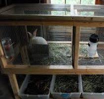 Ini jelas akan mempermudah anda dalam membersihkan kotoran dan tinggi kandang dari tanah 1,25 hingga 1,5 m. Panduan Cara Membuat Kandang Kelinci Lengkap Dengan Gambar Belajar Beternak