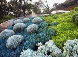 Pin On Sustainable Garden Design Ideas