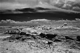 Discover ashfall fossil beds in royal, nebraska: Ashfall Fossil Beds Prehistoric Giant Beavers