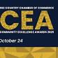 Business & Community Excellence Awards 2025 event image