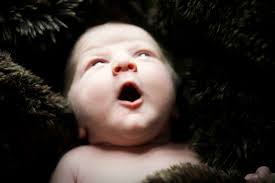 Susanna Joy :: Newborn Photo, Columbus Ohio — Magree Photo and Design