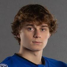 Fond du Lac Springs Ledgers