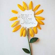 Bloom Flower Quotes Sunflower Quotes Flower Quotes Love