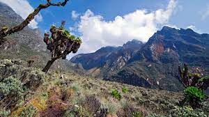 The rwenzori mountains national park has stratified vegetation with five major vegetation zones, which adds on its beautiful scenery. Bbc Travel Rwenzori Mountains Africa S Surreal Mountains Of The Moon