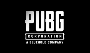 Bring This Item For Chicken Dinner At Pubg Mobile World Today News