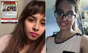 College student, 22, who went missing after going for a walk found  strangled in Illinois forest